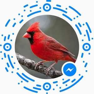 Meet your Posher, Norma